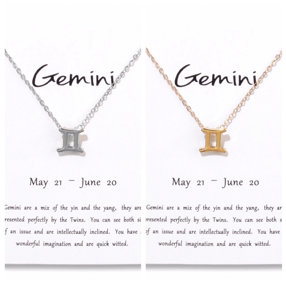 Gemini ♊️ Zodiac Sign Necklace